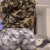 Guest_lolbrittany600
