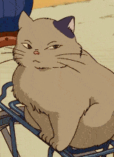 Watermeow