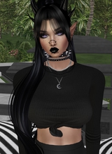 avatar-billede