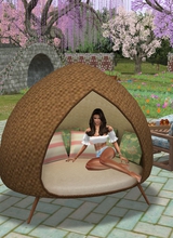 Guest_LauraRoseDimon