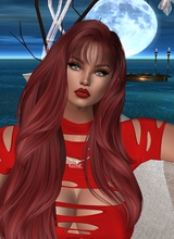 Guest_GiselArabela
