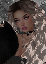 VixenHeart