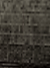Fjik