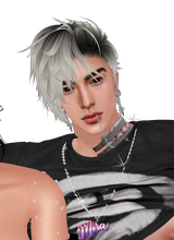 XMlR
