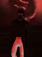 TheGimp