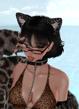 Guest_SerinaUwU
