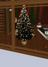 Guest_Estrela362512