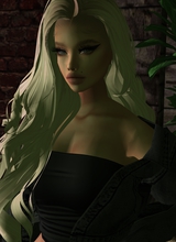 Guest_avarose219118