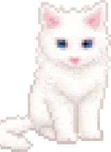 Canvas: IoveIy