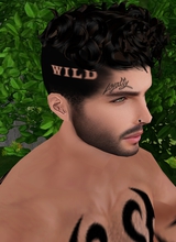 WILDBoss1