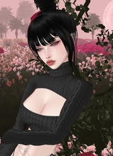 Guest_RooAndy