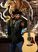 Guest_MoltoAlegro