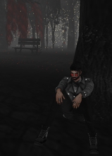 Guest_Lexsun69