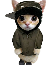 avpic