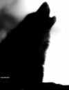 Guest_KrTcA