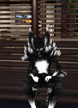 KaiWolf420
