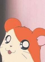 Annoki