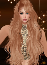 Guest_charllote15