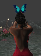 LadyRayneWolf