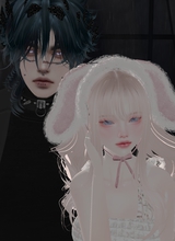 Guest_Arooj
