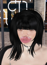 WildStyler