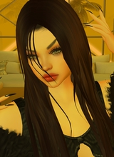WildStyler