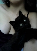 Pufy