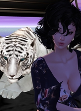 Guest_LeoSartori