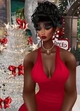 MSDENISE12X