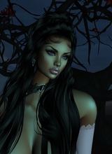 Guest_XSabry