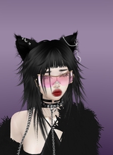 Guest_Metalcica