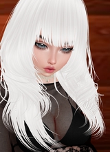 Guest_sasha802454