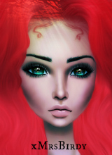 Canvas: xMrsBirdy