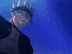 immagine avatar