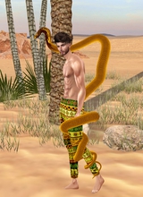Guest_Roly237