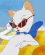 Guest_Tare7