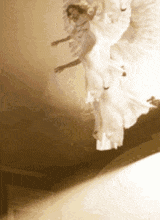 Guest_SERAPHlC