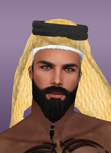 GhassanVeritasAlJari