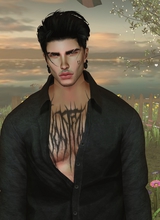 avatar picture