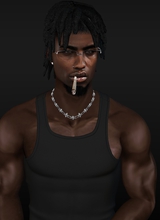 VirileChamp