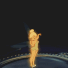 Guest_sam59389