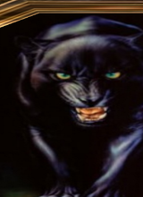 avatar picture