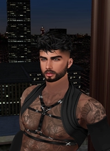 Guest_Bdog420