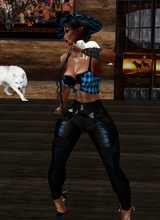 FlameDesertWolf