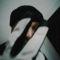Guest_eightlightsalmon212c