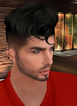 IINORBERTII