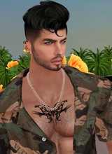 IINORBERTII