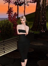 Guest_Montmorency