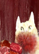 Guest_capotada