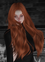 Z4Fy